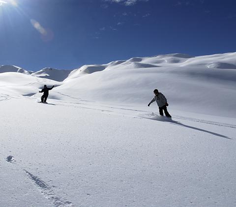 vitalitet bruser dal Billige skiferier i La Plagne i Frankrig | Sunweb