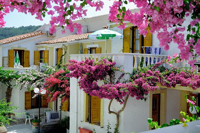 Inpak Deal zonvakantie Samos ⛱️ 8 Dagen logies Appartementen Olympia Village