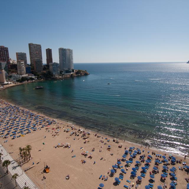 Vakantie Appartementen Don Vicente in Benidorm (Costa Blanca, Spanje)