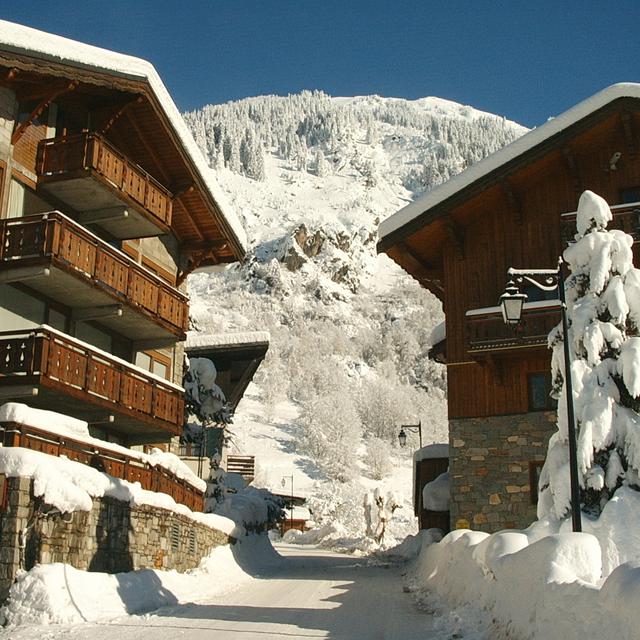 Les Chalets du Bouquetin