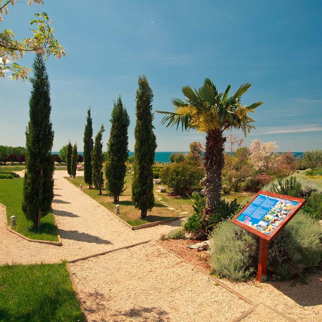Camping Park Umag photo 8