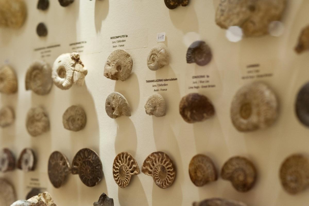 Appartementen Perla Marina in Rhodos, Griekenland Zonvakantie Sunweb