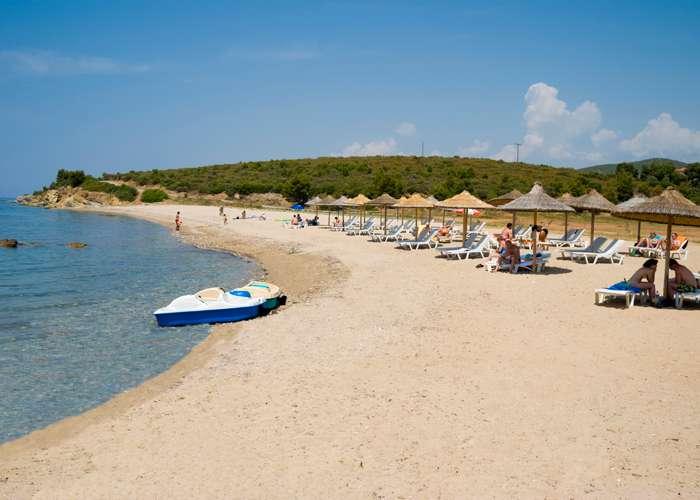 Metamorfosi Sithonia