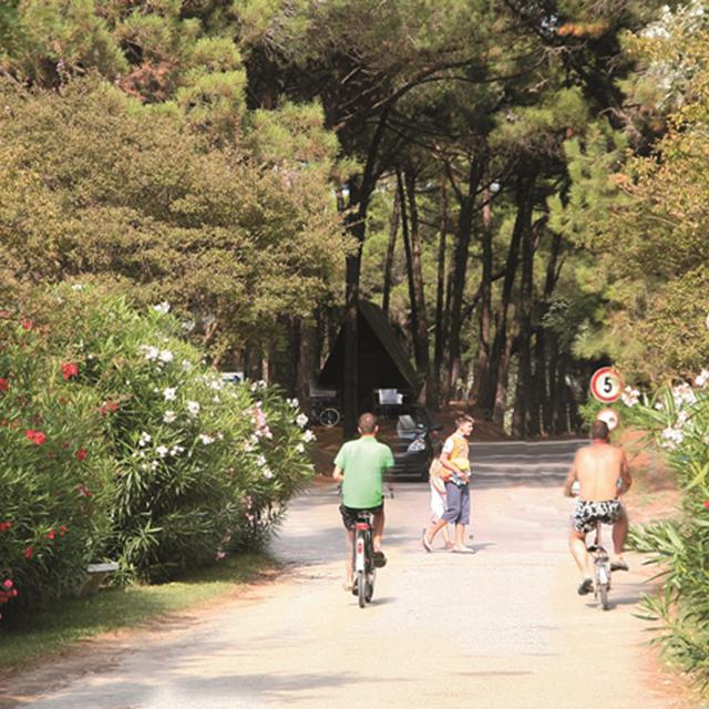 Camping Spina Village photo 8