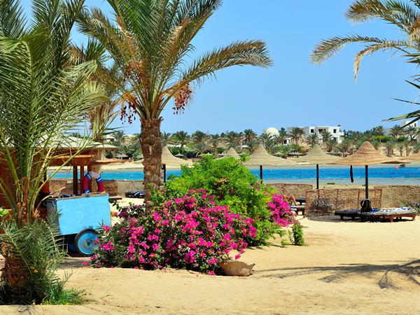 Marsa Alam Urlaub Günstige Pauschalreisen Sunweb