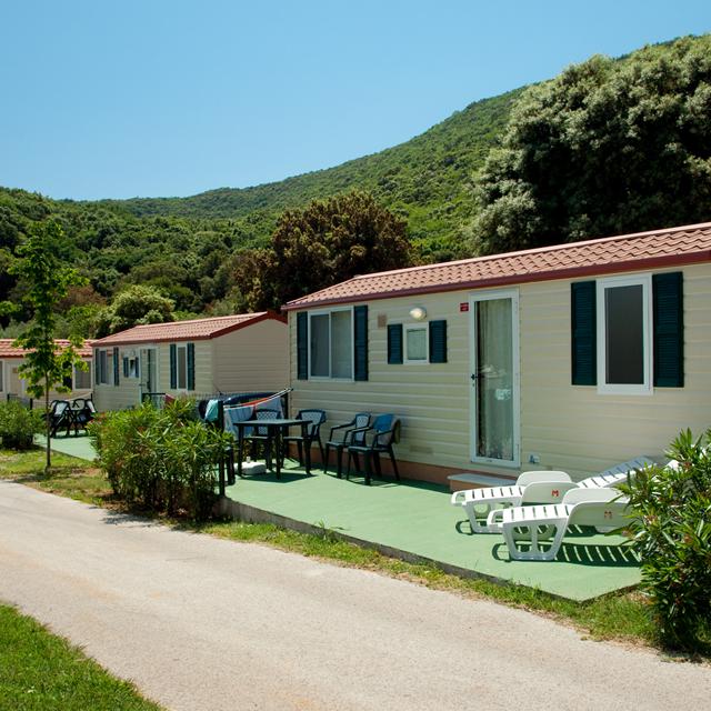 Camping Oliva photo 16