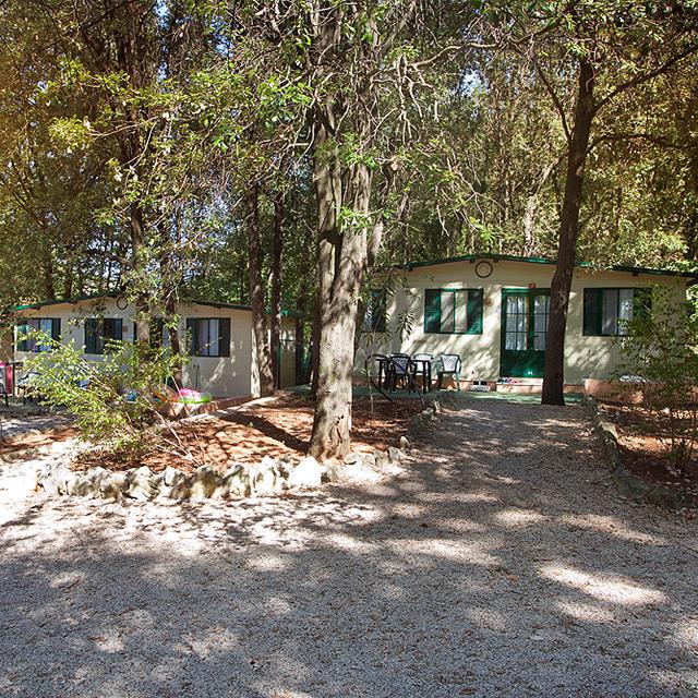 Camping Oliva photo 6
