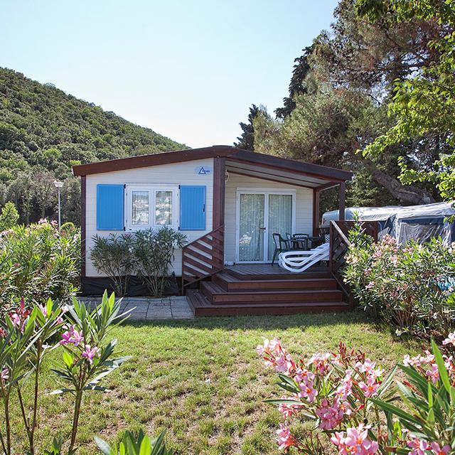 Camping Oliva photo 2