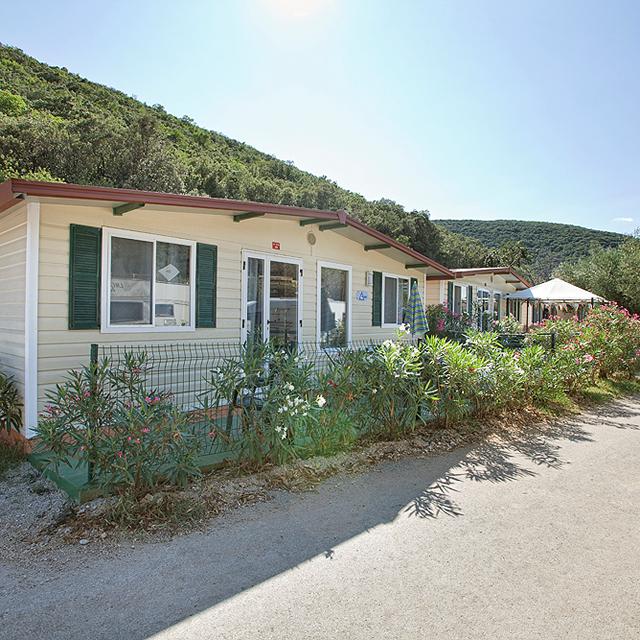 Camping Oliva photo 1
