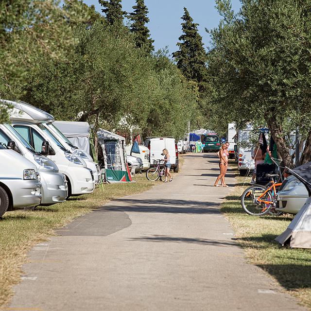 Camping Oliva photo 13