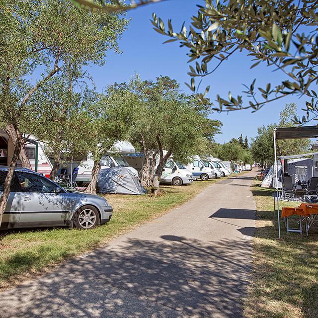 Camping Oliva photo 4