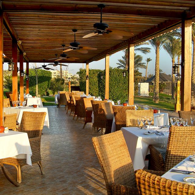 Hôtel Steigenberger Al Dau Beach - Hiver au soleil photo 12