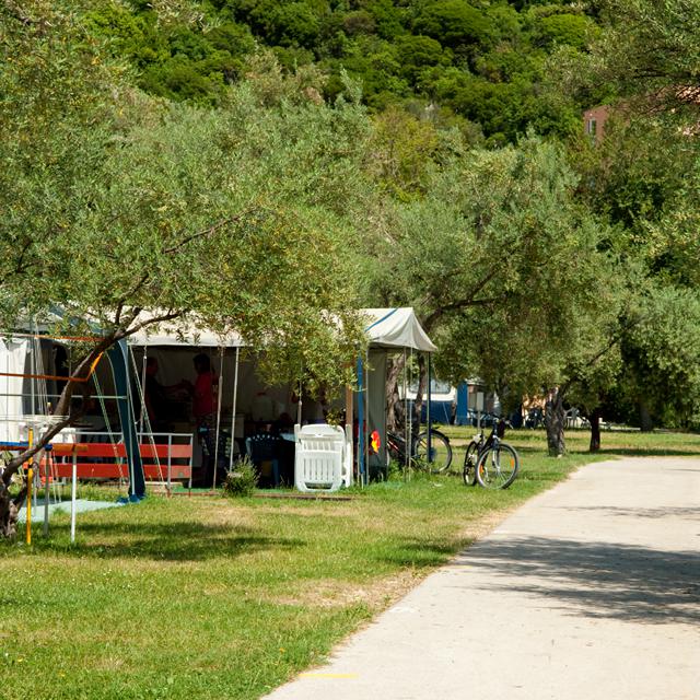 Camping Oliva photo 5
