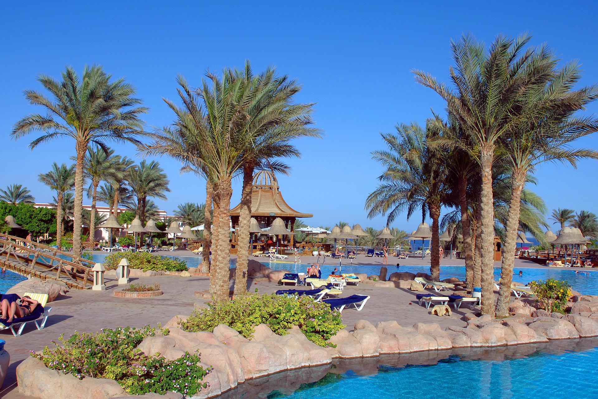 parrotel lagoon resort 5 египет шарм эль шейх