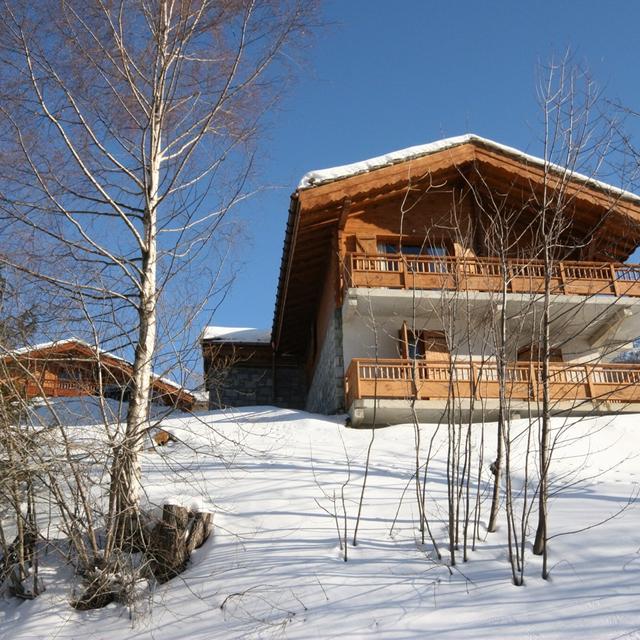 chalets-en-app-les-airelles