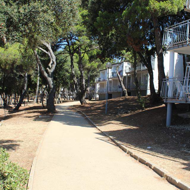 Appartements Verudela Beach photo 8