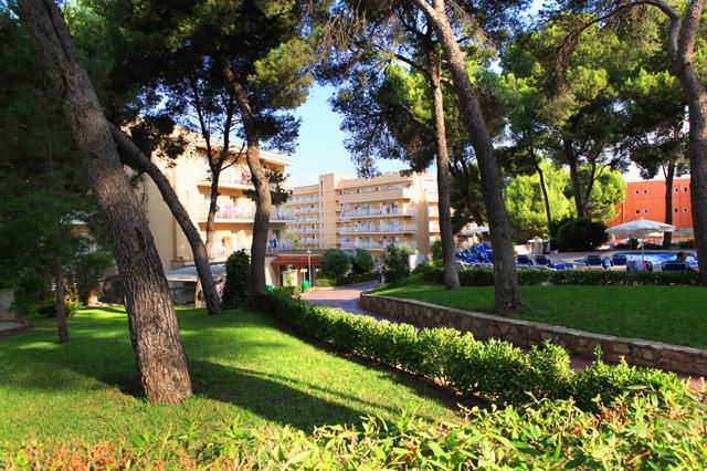 Geweldige zonvakantie Mallorca 🏝️ Hotel Palma Bay Club
