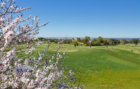 Hotel Vale d’Oliveiras Quinta Resort & Spa slide 3
