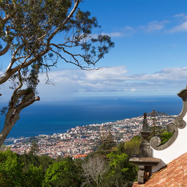 De Fly & Drive Madeira - Valley & Coastal Drive voert u langs de kust en valleien van het Portugese eiland Madeira. Onderweg ontdekt u de mooiste plekjes van het bloemeneiland. U komt langs de vulkaan, de eigenlijke oorsprong van het eiland en u kunt een bezoek brengen aan het prachtige rosarium Quinto do Arco, met een enorme collectie Portugese rozen.<br />Dag 1: van de luchthaven van Funchal naar Sao Vicente (ongeveer 48 km)Bij aankomst op de luchthaven staat onze Engelssprekende lokale vertegenwoordiger u op te wachten. Na ontvangst van de welkomstenvelop en de route, rijdt u naar een hotel in Sao Vicente waar u 3 nachten zult verblijven. Dag 2: Sao Vicente naar Sao Jorge (ongeveer 22 km)Vandaag start de rondreis in het dorp Sao Vicente, vooral bekend vanwege de grotten. Maar ook een wandeling door het historische centrum en een bezoek aan het kerkje zijn de moeite waard. De grotten zijn ontstaan tijdens de vulkaan uitbarsting die ook het eiland Madeira heeft gevormd. U kunt dit grote grottenstelsel bezoeken met een gids en vergeet niet aansluitend ook even hetvulkanisch centrum te bezoeken om meer over de geschiedenis van Madeira te weten te komen. Daarna rijdt u via een schilderachtig landschap naar Ponta Delgada, het kleine dorpje met een spectaculaire ligging. Hierna gaat het via het kleine landbouwdorp Boaventura naar Sao Jorge, waar u zeker een bezoekje moet brengen aan het rosarium Quinta do Arco, met meer dan 1.700 verschillende soorten rozen.<br />Dag 3: Sao Vicente naar Rabacal (ongeveer 35 km)Neem de weg naar Sao Vicente en rijd richting Paul da Serra. U rijdt nu door het “Natuur Park van Madeira” met de door de UNESCO beschermde oorspronkelijke flora en fauna van Madeira naar Rabacal. Hier kunt u o.a. de bekende wandeling van de 25 bronnen maken langs de levadas, de irrigatiekanaaltjes door het beroemde laurierbos. Wat een prachtige natuur! Vergeet niet om een lunchpakketje mee te nemen.<br />Dag 4: Sao Vicente naar Funchal (ongeveer 40 km)Vandaag rijdt u naar de hoofdstad Funchal, waar u de rest van het verblijf zult doorbrengen. U rijdt weer door het prachtige binnenland van het eiland en het is de moeite waard om even te stoppen bij het uitzichtpunt “Boca de Encumeada.” Bij Campanario komt u op de kustweg en bij het plaatsje Camara de Lobos moet u echt even stoppen bij het uitzichtpunt “Cabo Girao,” een balkon met een glazen bodem op 580 meter hoogte. Een bijzondere ervaring! Hierna is het nog maar 10 km tot Funchal.<br />Dag 5: Van Funchal naar Funchal Lido – Camara de Lobos (ongeveer 8 km)Vandaag kunt u de auto laten staan en te voet de buurt van het hotel verkennen; de wijk Lido. Hier bevinden zich veel restaurants en cafes en u kunt heerlijk langs het water wandelen naar het vissersdorp Camara de Lobos. In dit leuke vissersdorpje kunnen de liefhebbers genieten van kersverse visgerechten. Dag 6: Van Funchal naar Funchal/Monte (ongeveer 15 km)Vandaag heeft u tijd om Funchal wat beter te leren. Wat tips: Bezoek de kathedraal, wandel door de straten van het oude, maar ook het nieuwe gedeelte van de mooiste stad van Madeira, bezoek de botanische tuin. Vanuit het oude centrum kun u met de kabelbaan naar Monte, vanaf dit hooggelegen kleine plaatsje heeft u natuurlijk een fantastisch uitzicht en als u wilt kunt u met een bekende tobogan (slee) 2 km naar beneden. De oude stad, zona velha, met vlakbij de kleurrijke overdekte markt en het okergele fortaleza de Santiago. En de voetbalfans mogen natuurlijk het museum CR 7 niet missen, helemaal in het teken van Cristiano Ronaldo. En dan de dag afsluiten in een leuk restaurant in het bekende straatje Rua da Santa Maria.<br />Dag 7: Van Funchal naar Garajau/Santo da Serra (ongeveer 35 km)U rijdt naar Ponta da Garajau, vooral bekend om het uitzichtpunt met het grote standbeeld “Cristo Rei” wat een beetje lijkt op de beroemde Christusbeelden van Rio de Janeiro en Lissabon. Het uitzicht over de baai van Funchal, de oceaan en het strandje zijn ook zeker de moeite waard. Hierna rijdt u via het badplaatsje Santa Cruz naar het gebied van Machico waar zich het leuke plaatsje Santo da Serra bevindt.<br />Dag 8: Van Funchal naar de luchthaven (ongeveer 25 km)Einde van de reis. Toch liever wat langer blijven? Dat kan! U kunt uw vakantie verlengen met een verblijf in een hotel naar keuze. Neem hiervoor contact op met ons call center.” WIDTH=”450″ HEIGHT=”450″/></p>
<p><a href=