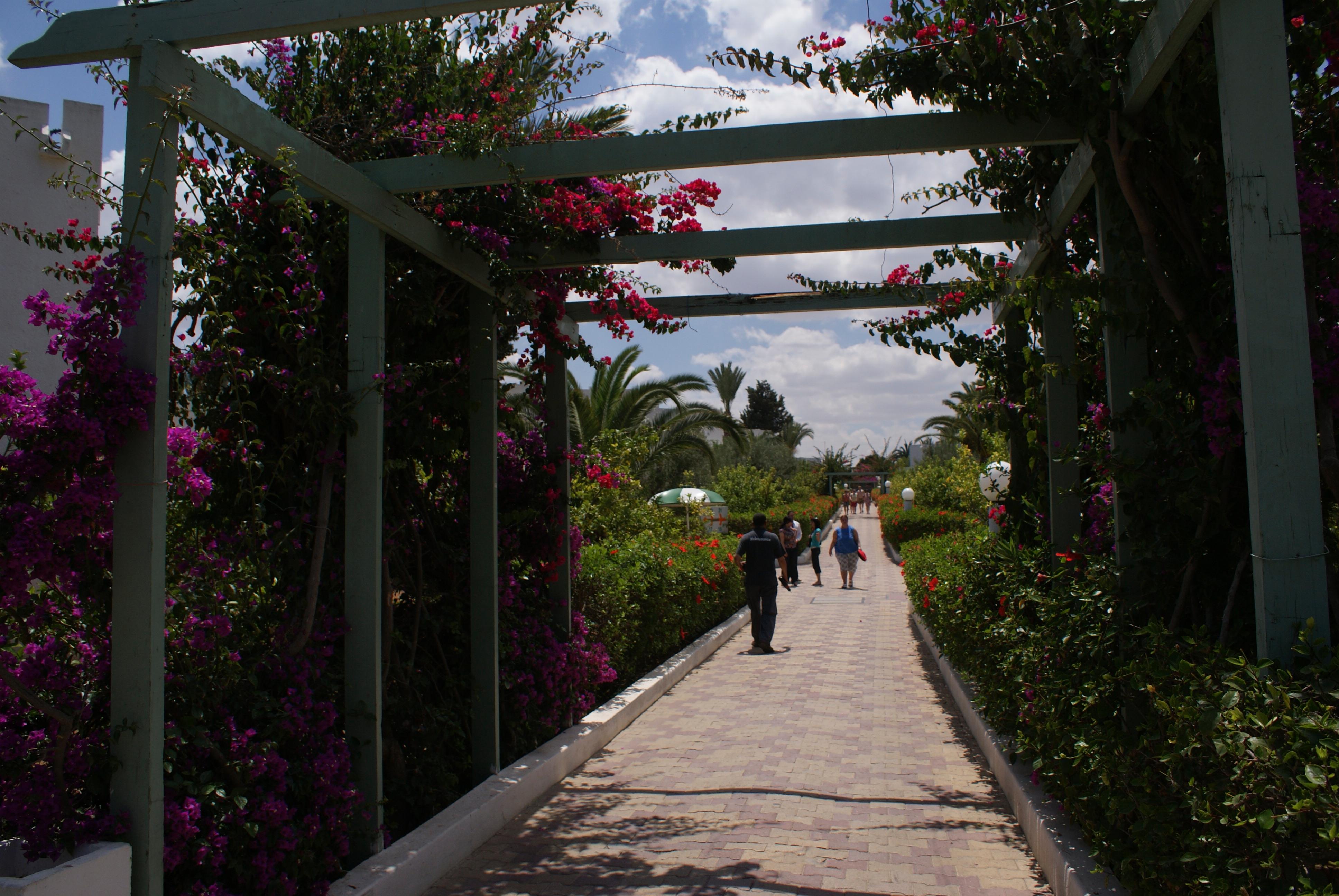 El Mouradi Club Selima