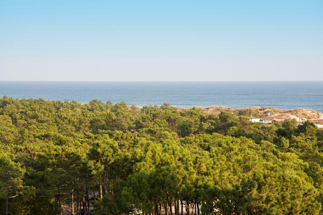 Last minute zonvakantie Algarve - Monte Gordo Hotel & Spa