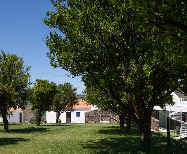 Quinta de Casaldronho - Portugal - Noord-Portugal - Valdigem