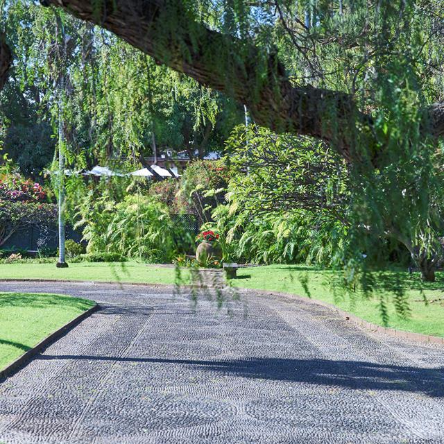 Quinta da Casa Branca photo 16