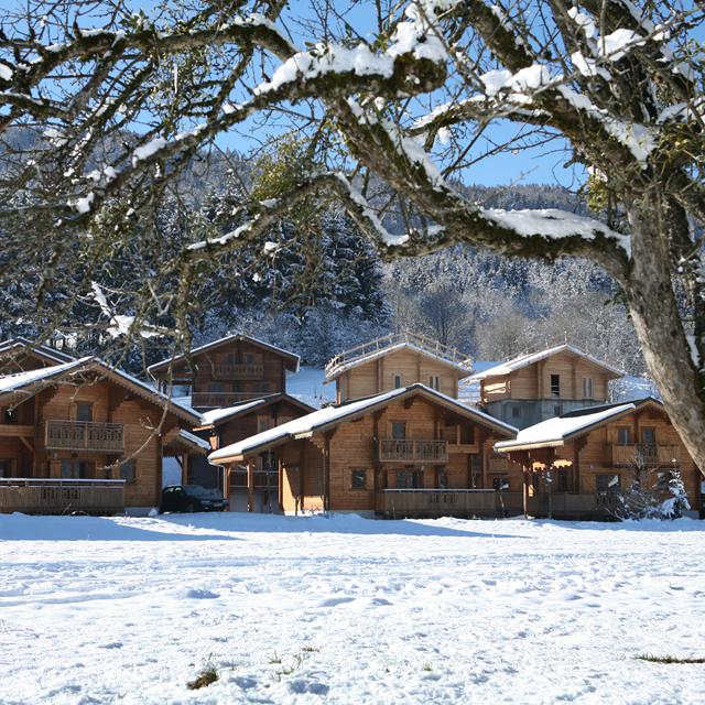 Les Chalets du Bois de Champelle - extra ingekocht