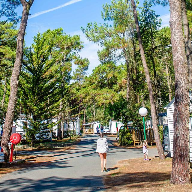 Camping Odalys Les Dunes photo 5