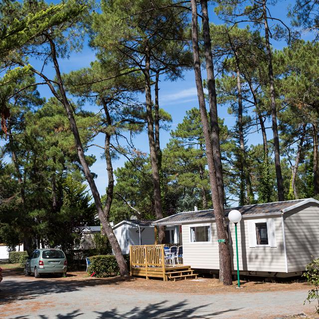 Camping Odalys Les Dunes photo 3
