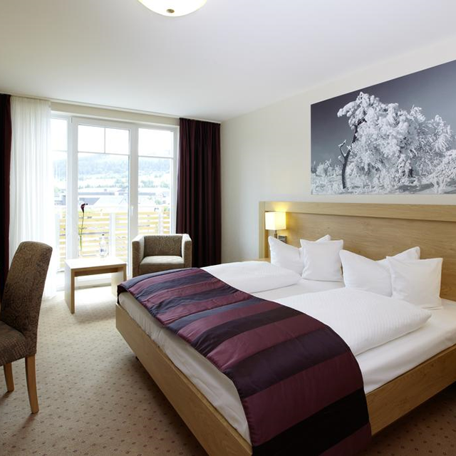 best-western-plus-hotel-willingen