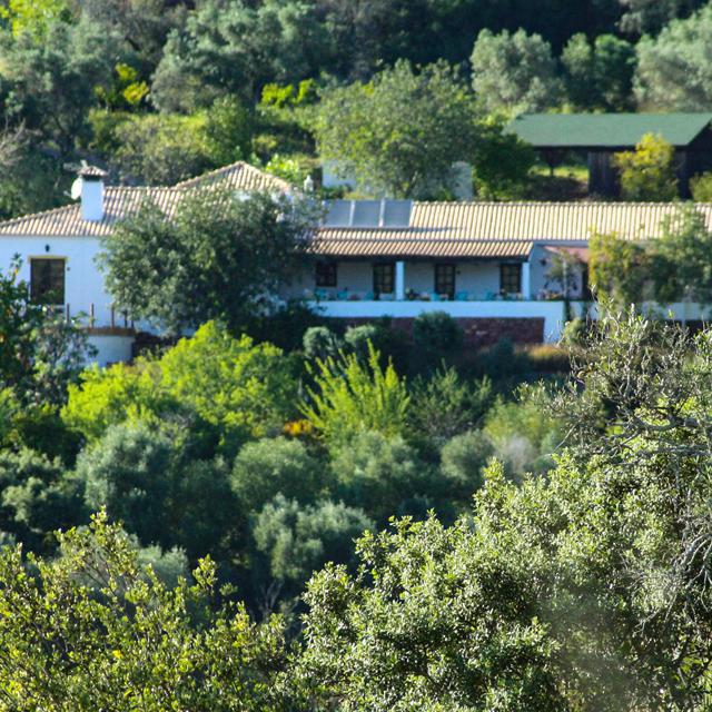 Vale Fuzeiros Nature Guest House - Portugal - Algarve - Vale Fuzeiros