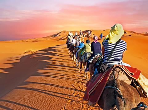 ongerustheid waarde toelage Vakantie Marokko boeken, zonvakantie | Sunweb