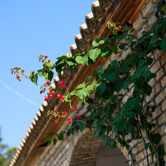 Hôtel Amalia - adult only photo 22