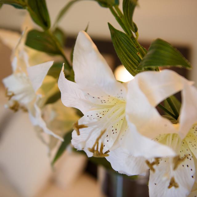 Hôtel Amalia - adult only photo 18
