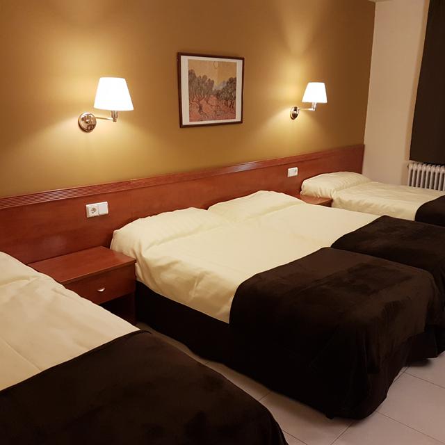 Hôtel Guineu photo 1
