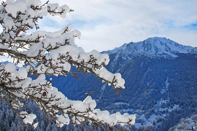 Goedkope wintersport Les Quatre Vallées ⛷️ Chalet CNY01