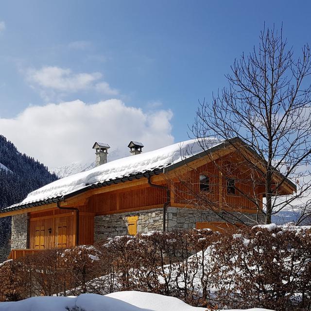 chalet-alideale