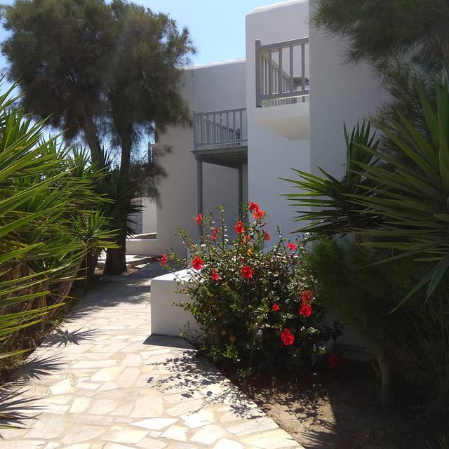 Elena Studio's & Suites photo 8