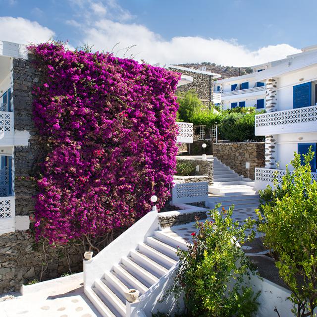 Vakantie Hotel Alkistis - adults only in Agios Stefanos (Mykonos, Griekenland)