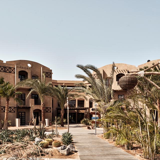 Cook's Club El Gouna - adults only