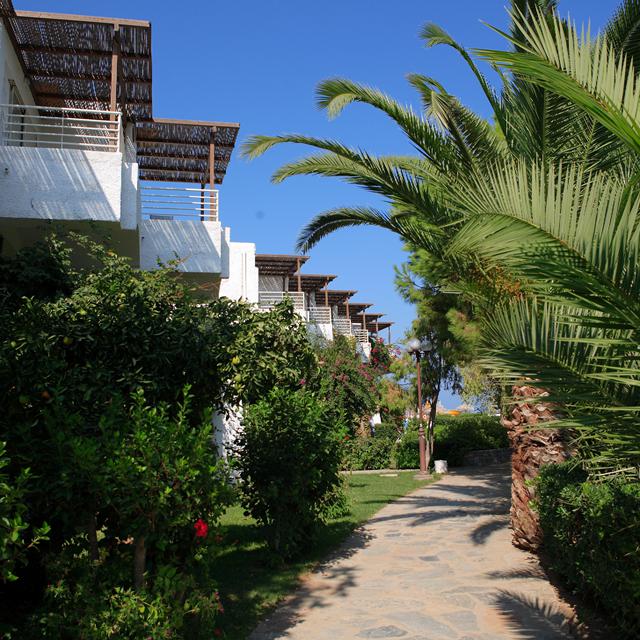 Hotel Apollonia Beach Resort & Spa photo 24