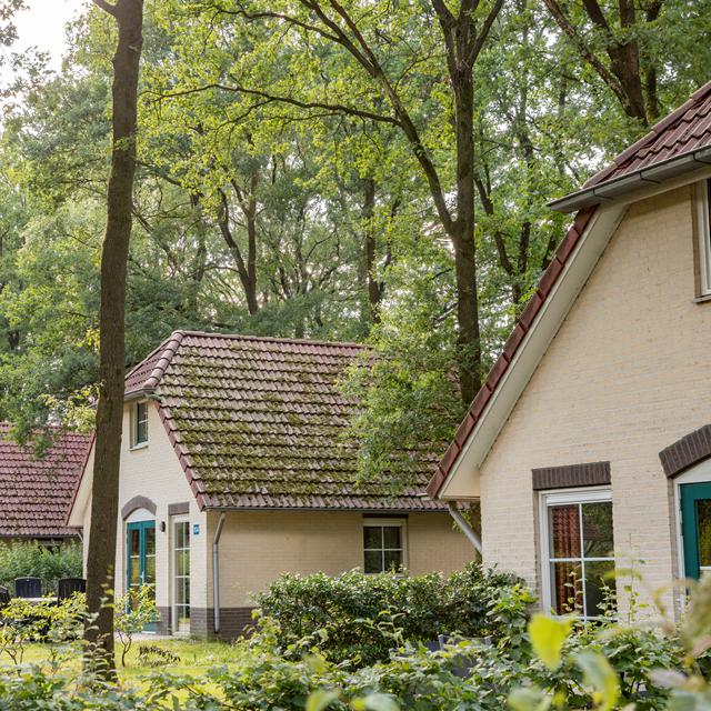 Hoge Hexel - Vakantiepark Roompot de Tolplas Hoge Hexel - Vakantiepark Roompot de Tolplas