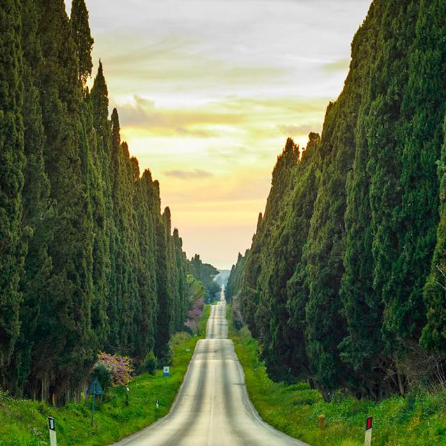 Borgo degli Olivi photo 4