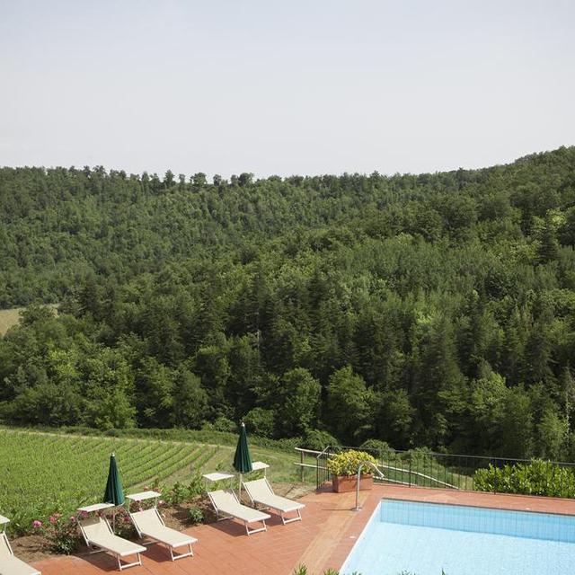 Dievole Wine Resort photo 6