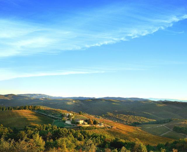 Dievole Wine Resort photo 23