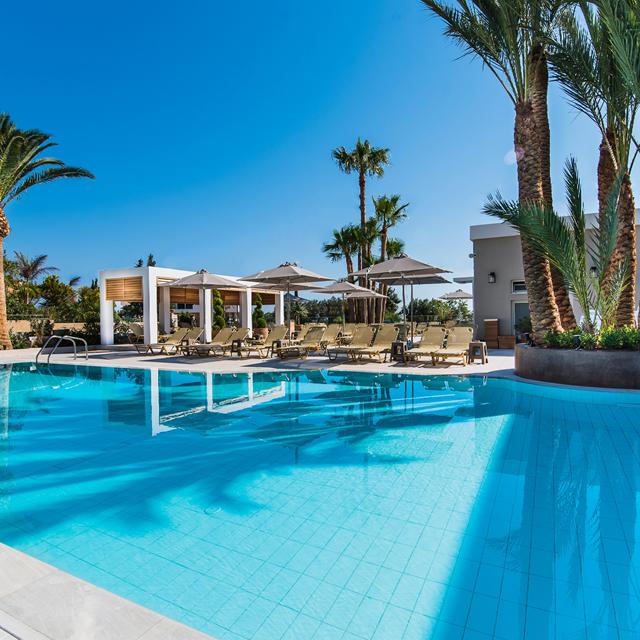 Vakantie Hotel Dedalos in Malia (Kreta, Griekenland)