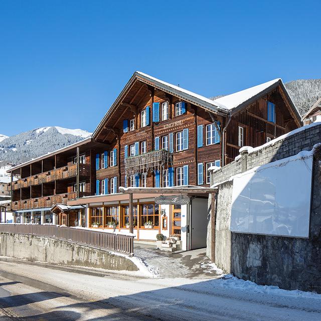 Hotel Jungfrau Lodge