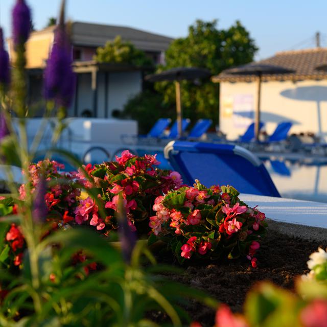 Corfu SunGate Hôtel photo 8
