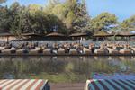 Cook's Club Ialyssos - adults only